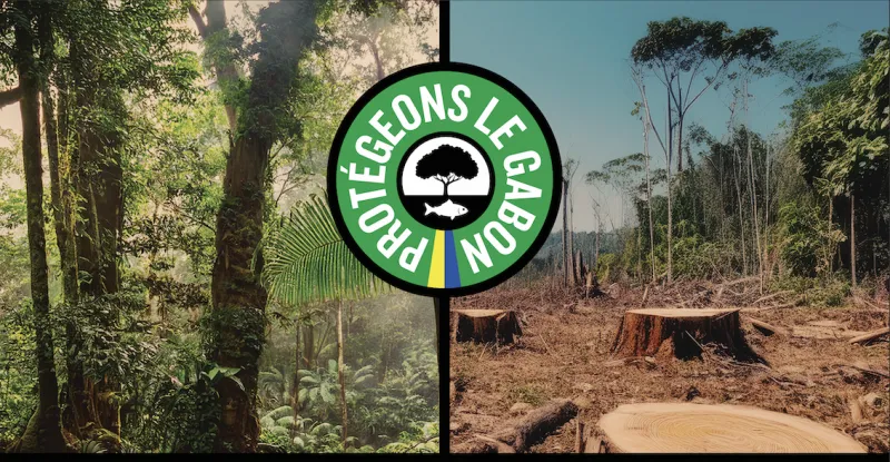 Gabon billboard. Illegal logging threatens our revenues and jobs.