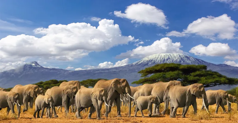 East Africa