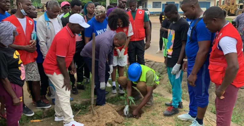 Community-led conservation