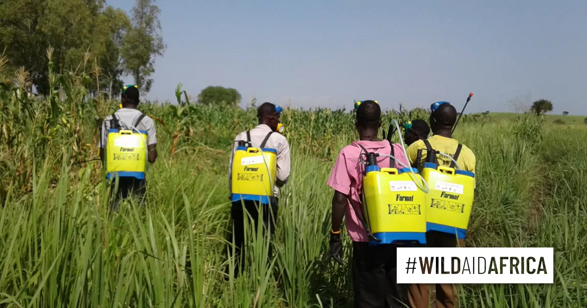 “Smelly” elephant repellent study social media resources WildAid Africa